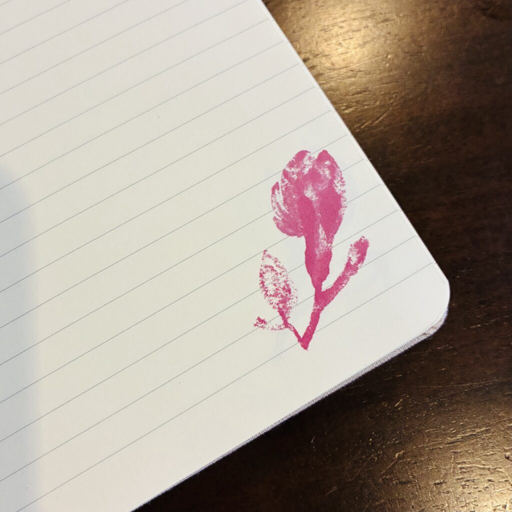 2026さくらモレスキン横罫